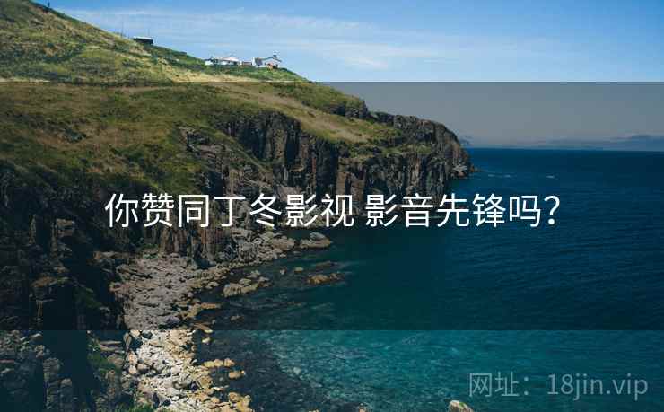 你赞同丁冬影视 影音先锋吗？  第2张
