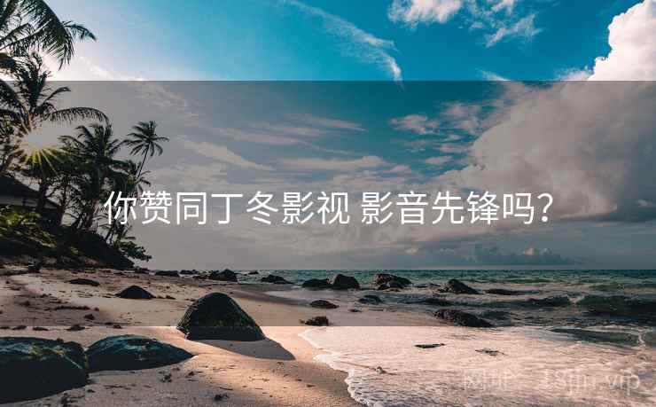 你赞同丁冬影视 影音先锋吗？