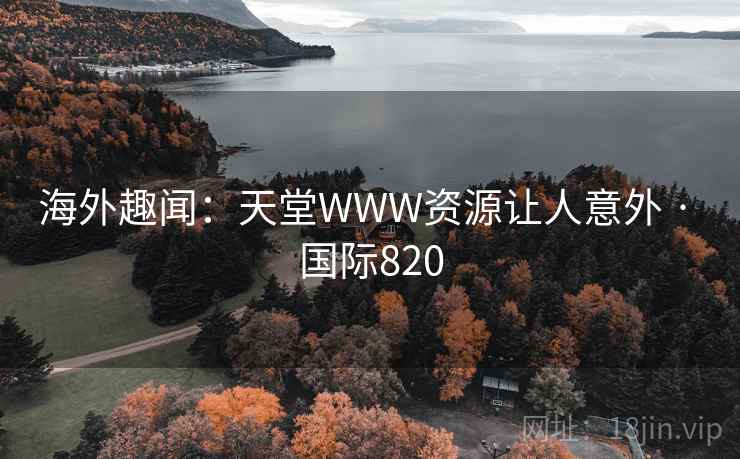 海外趣闻：天堂WWW资源让人意外 · 国际820