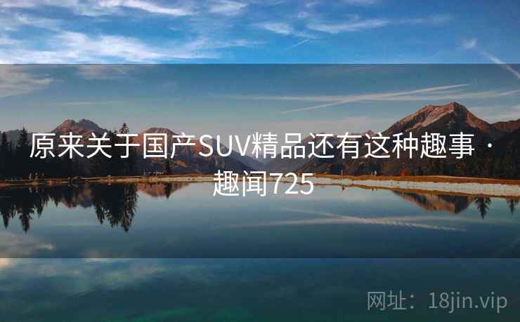 原来关于国产SUV精品还有这种趣事 · 趣闻725  第2张