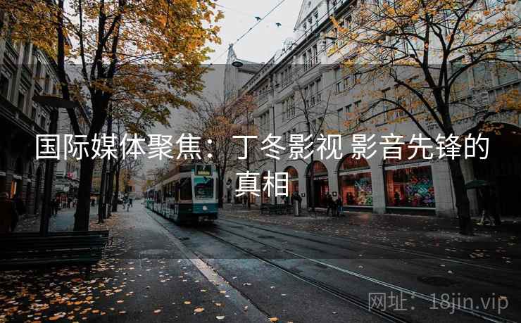 国际媒体聚焦:丁冬影视 影音先锋的真相  第2张 国际媒体聚焦:丁冬影视 影音先锋的真相  第2张